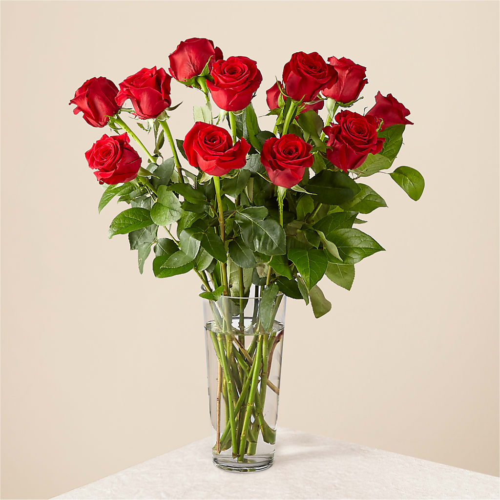 Long Stem Red Rose Bouquet – Francis Florist, Pomeroy OH