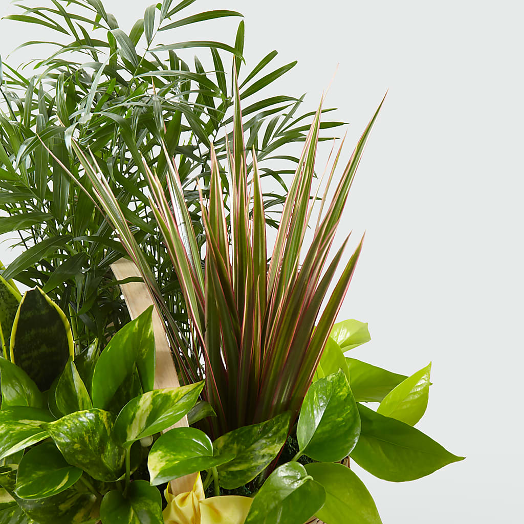 French Garden – Francis Florist, Pomeroy OH