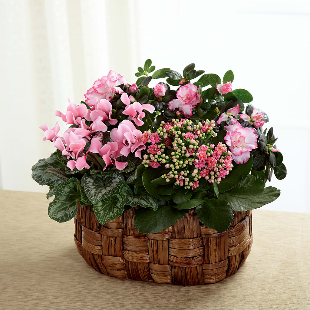 Pink Assortment – Francis Florist, Pomeroy OH