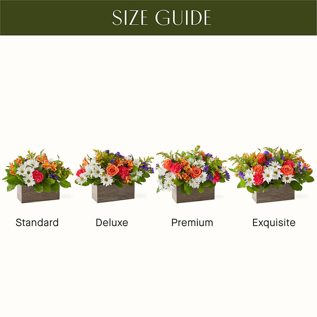 Oopsie Daisy Box Bouquet – Francis Florist, Pomeroy OH