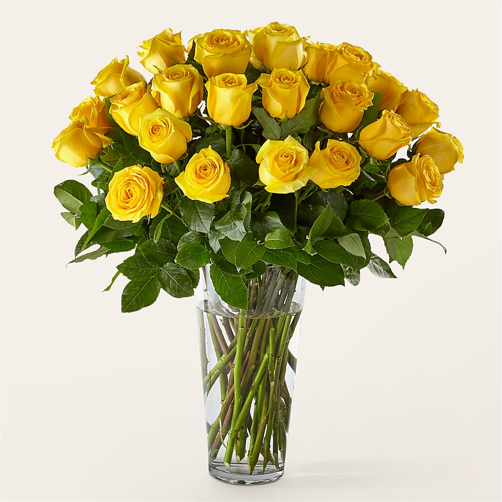 Long Stem Yellow Rose Bouquet – Francis Florist, Pomeroy OH
