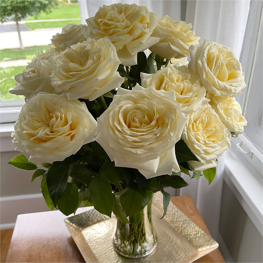 Long Stem Yellow Rose Bouquet – Francis Florist, Pomeroy OH