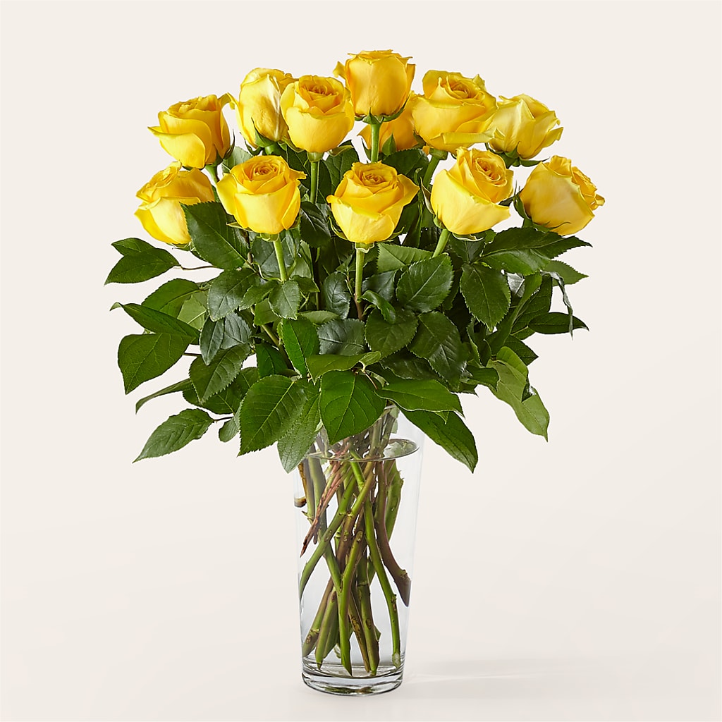 Long Stem Yellow Rose Bouquet – Francis Florist, Pomeroy OH