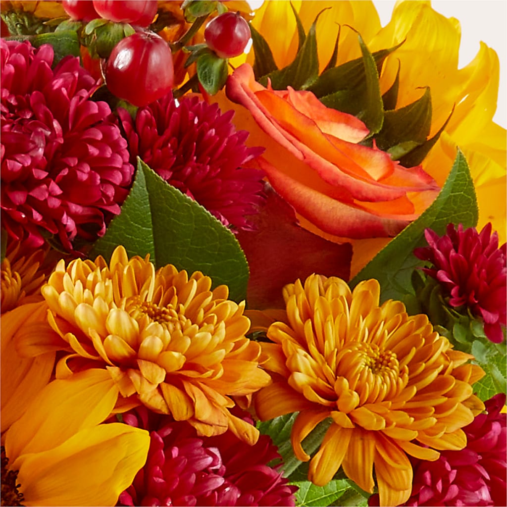 Sweater Season - A Florist Original – Francis Florist, Pomeroy OH