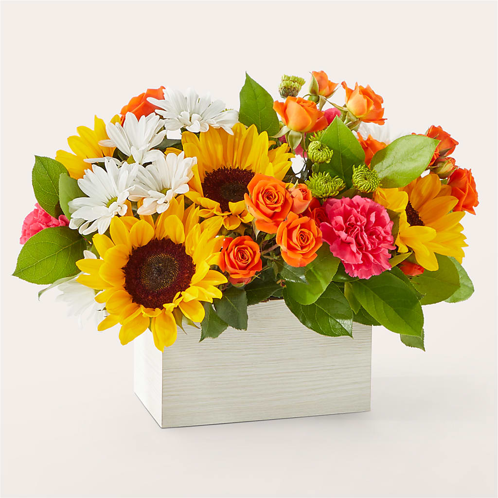 Sun-drenched Blooms Box Bouquet – Francis Florist, Pomeroy OH