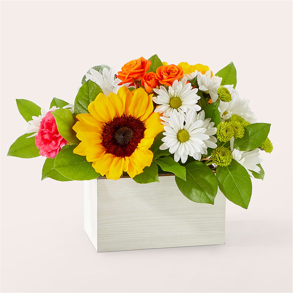 Sun-drenched Blooms Box Bouquet – Francis Florist, Pomeroy OH