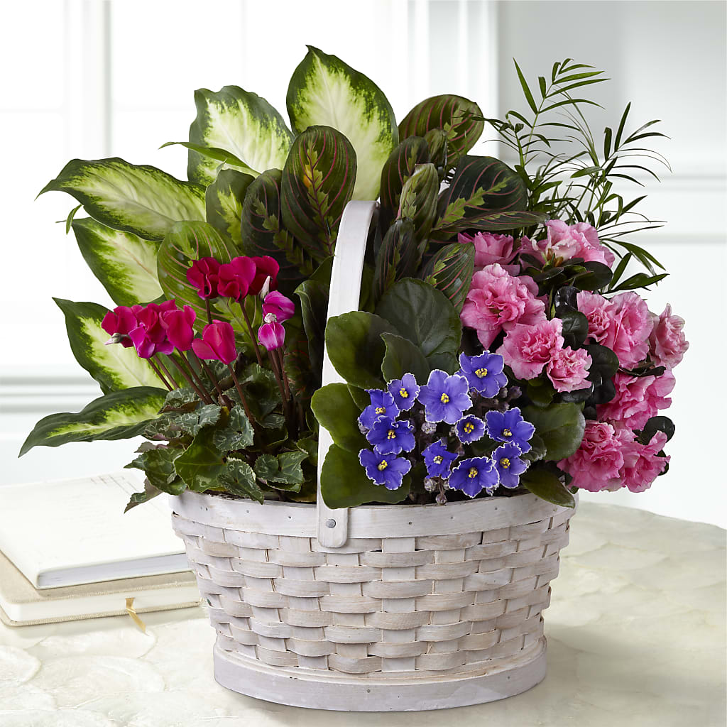 Peaceful Garden Planter – Francis Florist, Pomeroy OH
