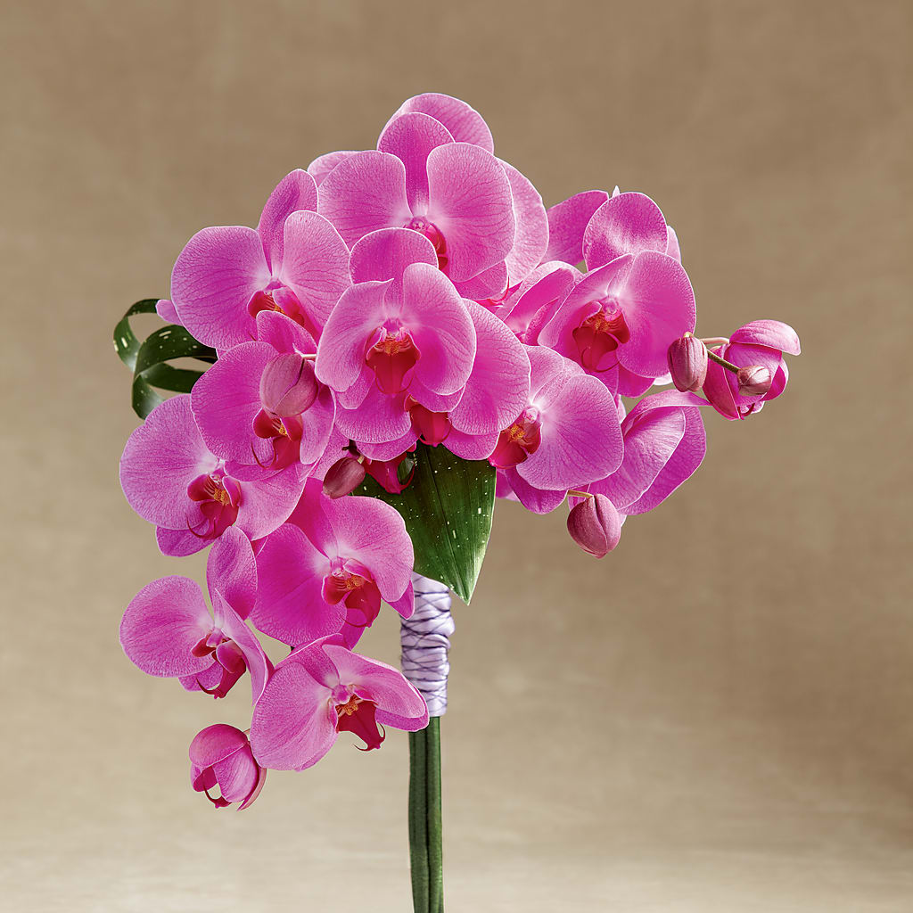Glorious Bouquet – Francis Florist, Pomeroy OH