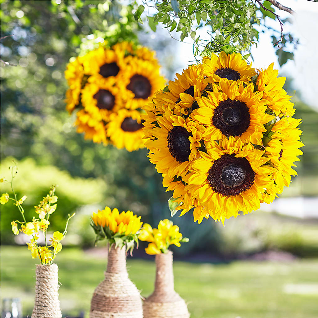 Sublime Garden Hanging Arrangement – Francis Florist, Pomeroy OH