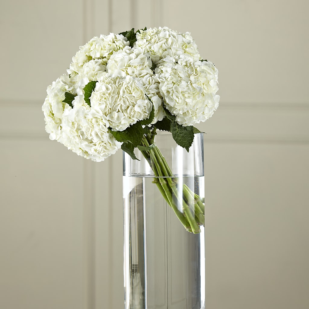 White Hydrangea Hand-Tied Bouquet – Francis Florist, Pomeroy OH