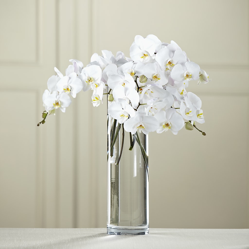 White Phalaenopsis Bouquet – Francis Florist, Pomeroy OH