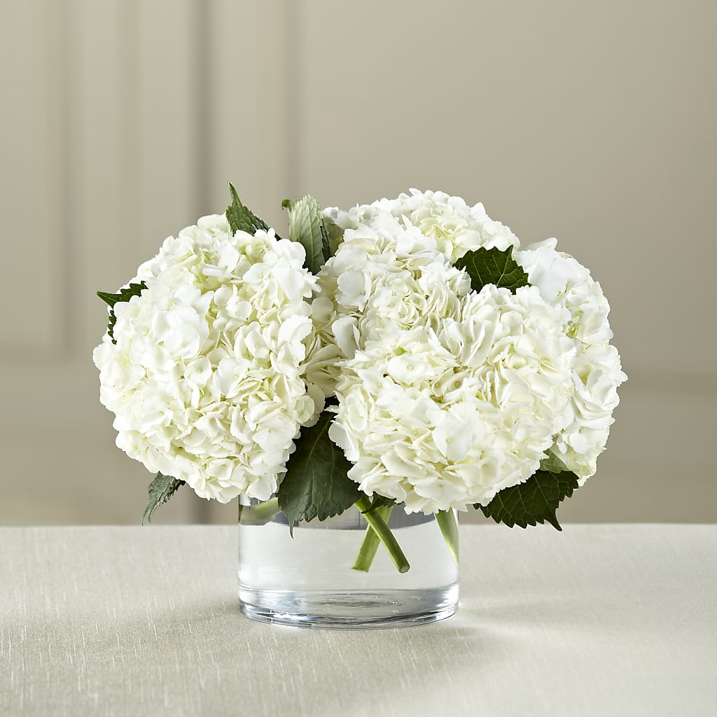 White Hydrangea Bouquet – Francis Florist, Pomeroy OH