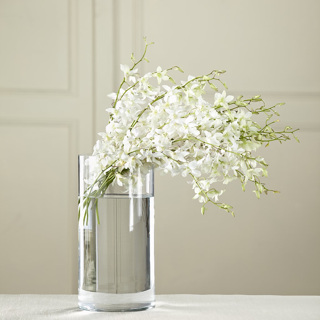 White Dendrobium Bouquet – Francis Florist, Pomeroy OH