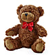 Adorable Plush Bear –  Francis Florist, Pomeroy OH