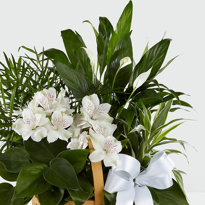 Peace & Serenity Dishgarden –  Francis Florist, Pomeroy OH