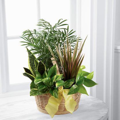 French Garden –  Francis Florist, Pomeroy OH