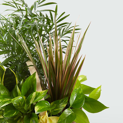 French Garden –  Francis Florist, Pomeroy OH