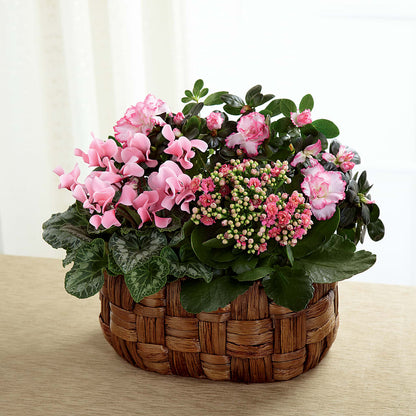 Pink Assortment –  Francis Florist, Pomeroy OH
