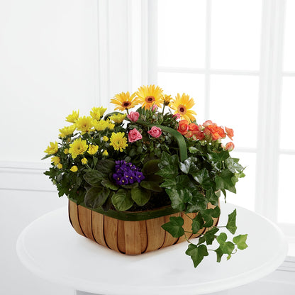 Gentle Blossoms Basket –  Francis Florist, Pomeroy OH