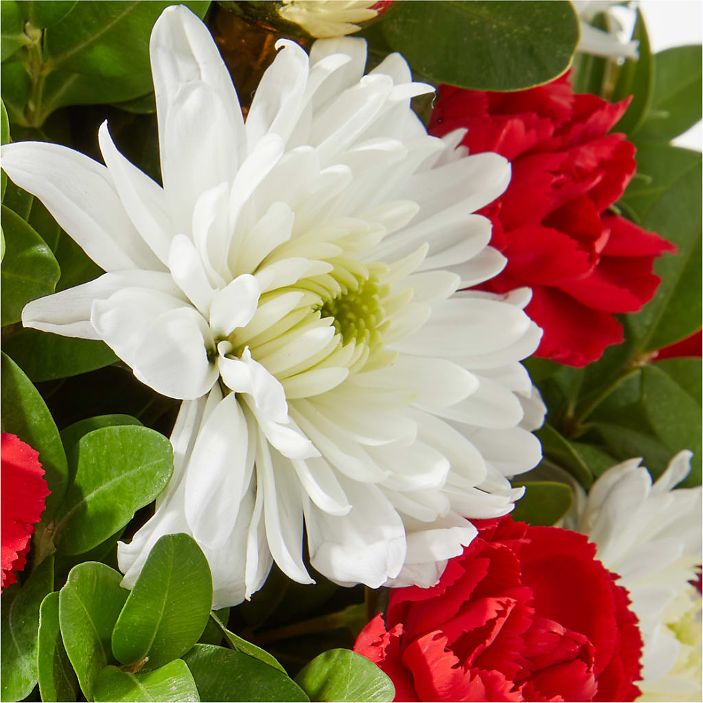 Royal Nutcracker Tree –  Francis Florist, Pomeroy OH