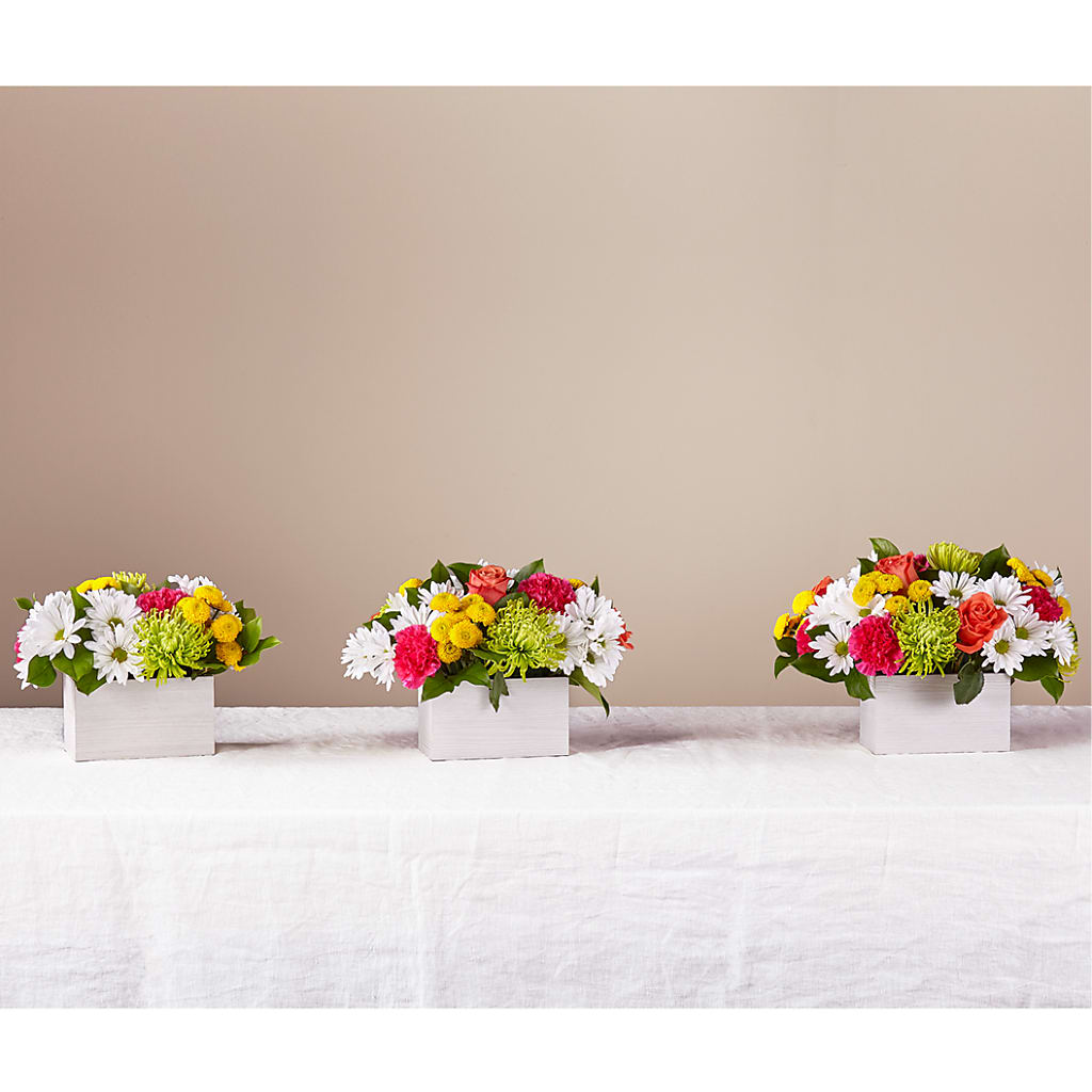 Sorbet Bouquet –  Francis Florist, Pomeroy OH