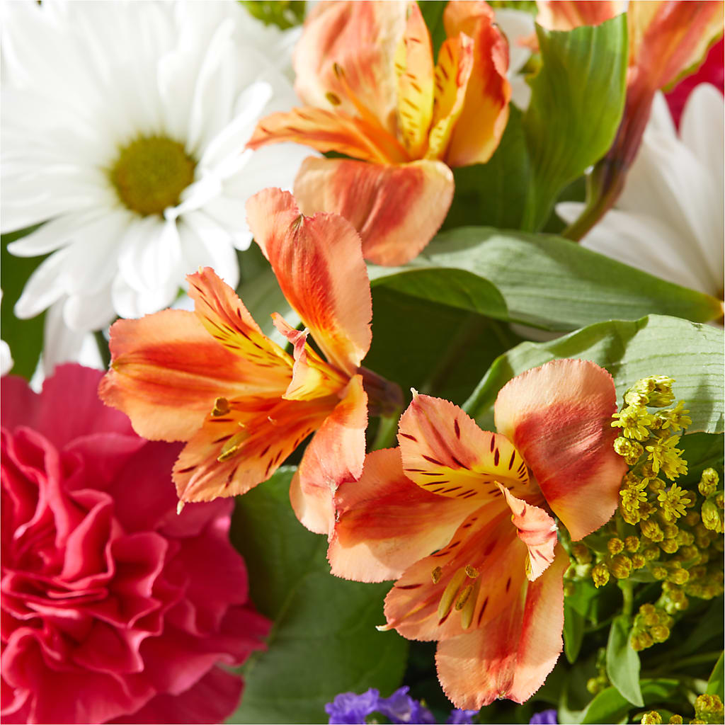 Oopsie Daisy Box Bouquet –  Francis Florist, Pomeroy OH