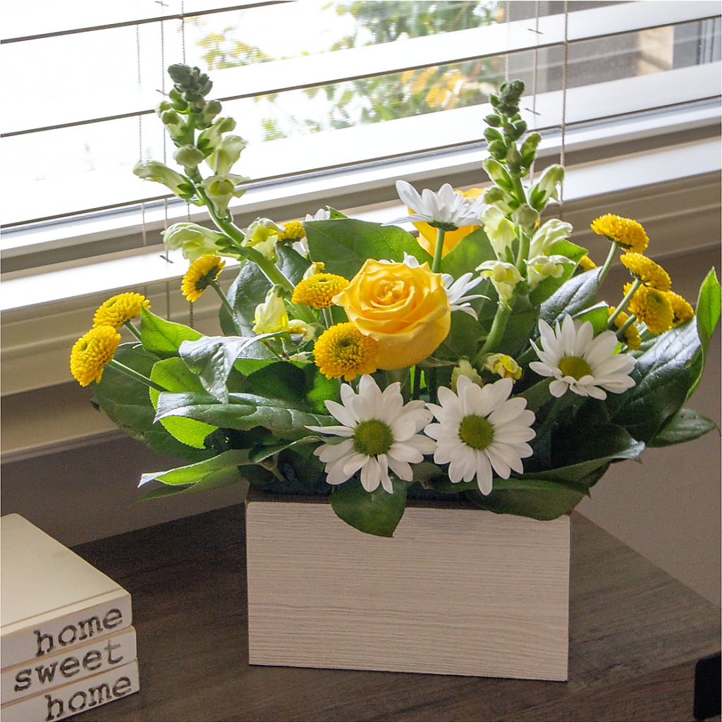 Sun Salutation Box Bouquet –  Francis Florist, Pomeroy OH