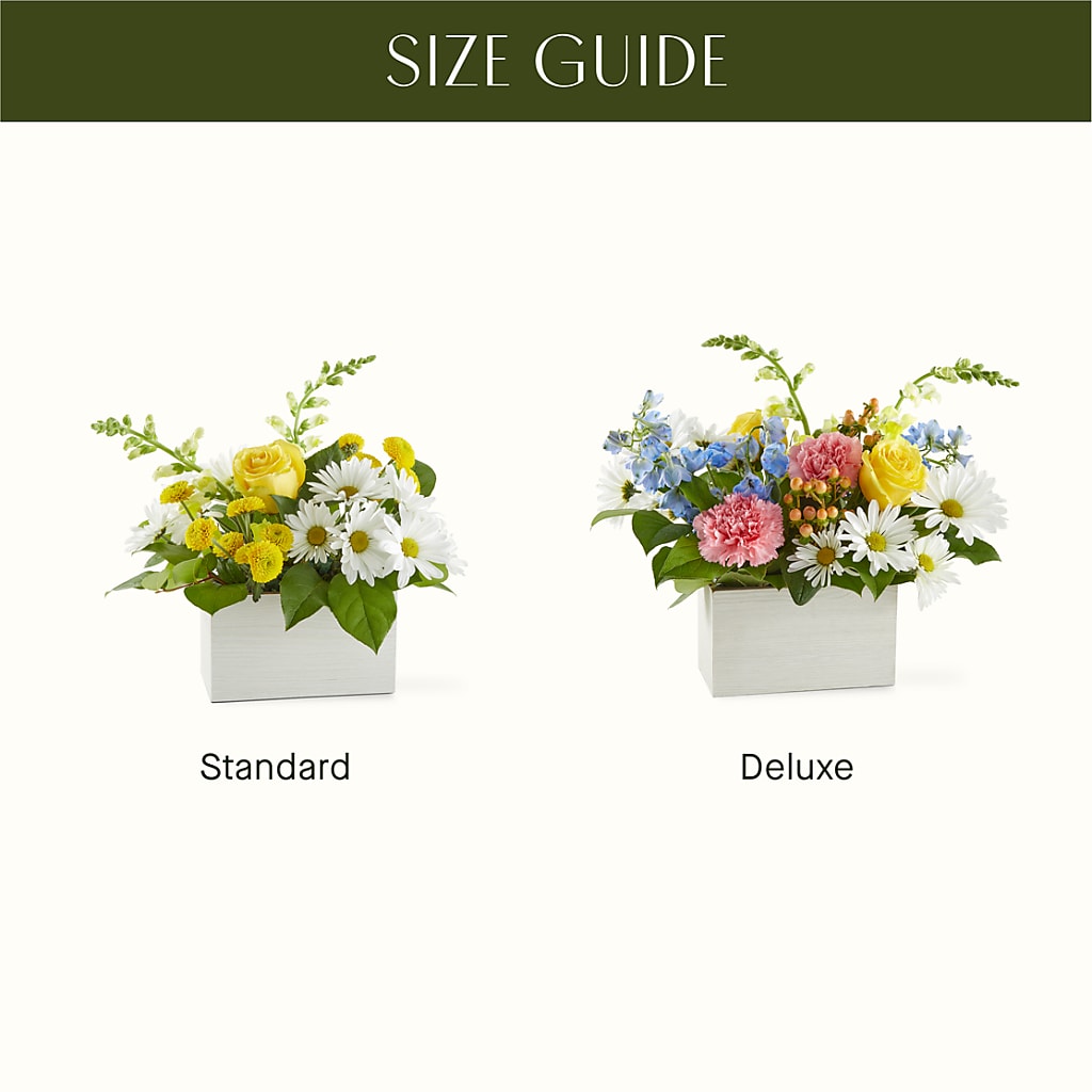 Sun Salutation Box Bouquet –  Francis Florist, Pomeroy OH