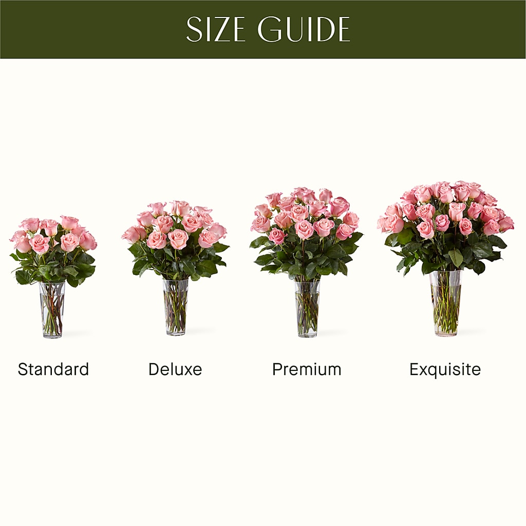 Long Stem Pink Rose Bouquet –  Francis Florist, Pomeroy OH