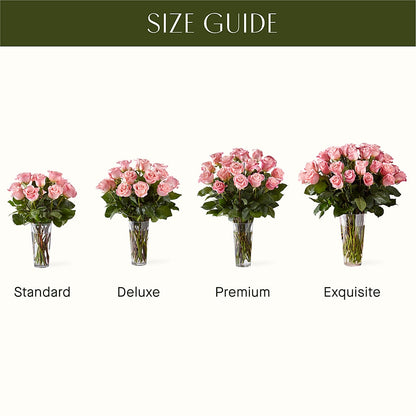 Long Stem Pink Rose Bouquet –  Francis Florist, Pomeroy OH