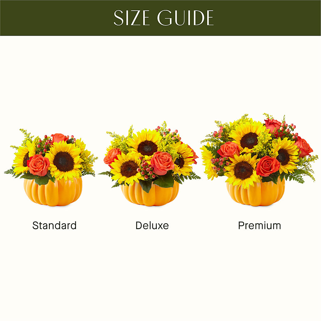 Pick of the Patch Pumpkin Bouquet –  Francis Florist, Pomeroy OH
