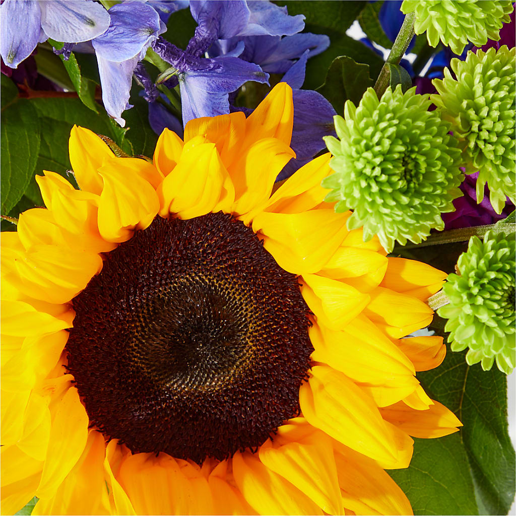 Catching Rays Bouquet –  Francis Florist, Pomeroy OH