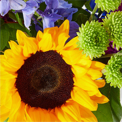 Catching Rays Bouquet –  Francis Florist, Pomeroy OH