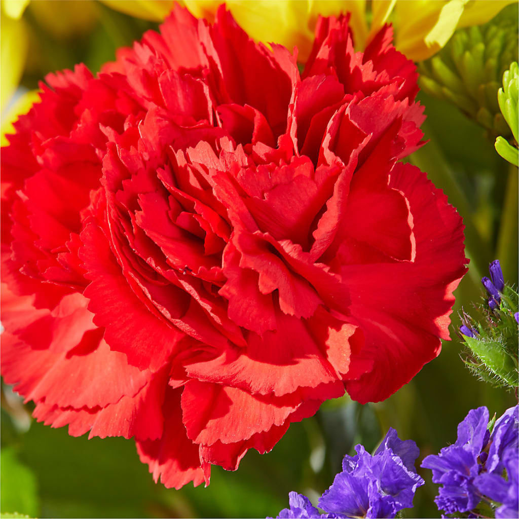Brighter Days Bouquet –  Francis Florist, Pomeroy OH