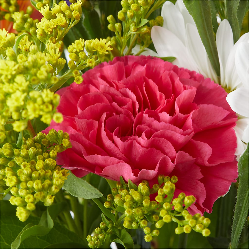 Oopsie Daisy Bouquet –  Francis Florist, Pomeroy OH