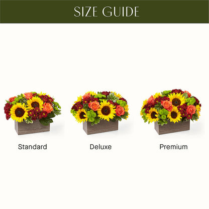 Happy Harvest Garden –  Francis Florist, Pomeroy OH