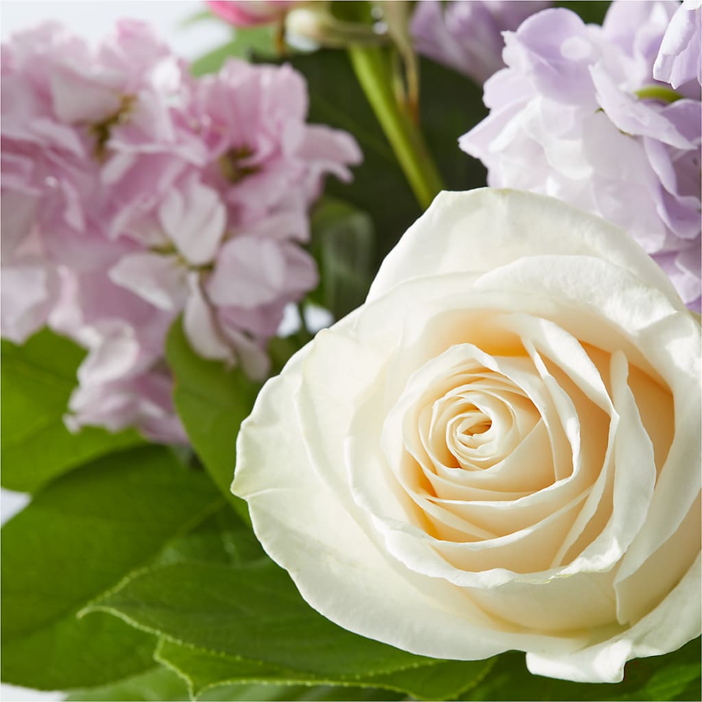 Springtime Spritz Bouquet –  Francis Florist, Pomeroy OH