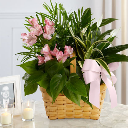 Living Spirit Dishgarden –  Francis Florist, Pomeroy OH