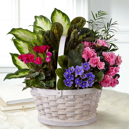 Peaceful Garden Planter –  Francis Florist, Pomeroy OH