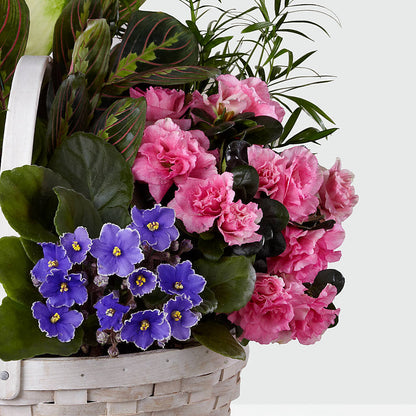 Peaceful Garden Planter –  Francis Florist, Pomeroy OH