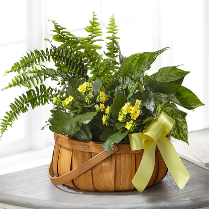 Always Dear Dishgarden –  Francis Florist, Pomeroy OH