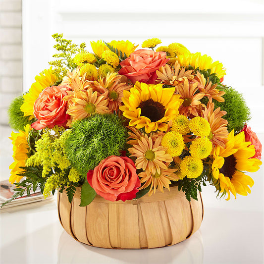 Harvest Sunflower Basket –  Francis Florist, Pomeroy OH