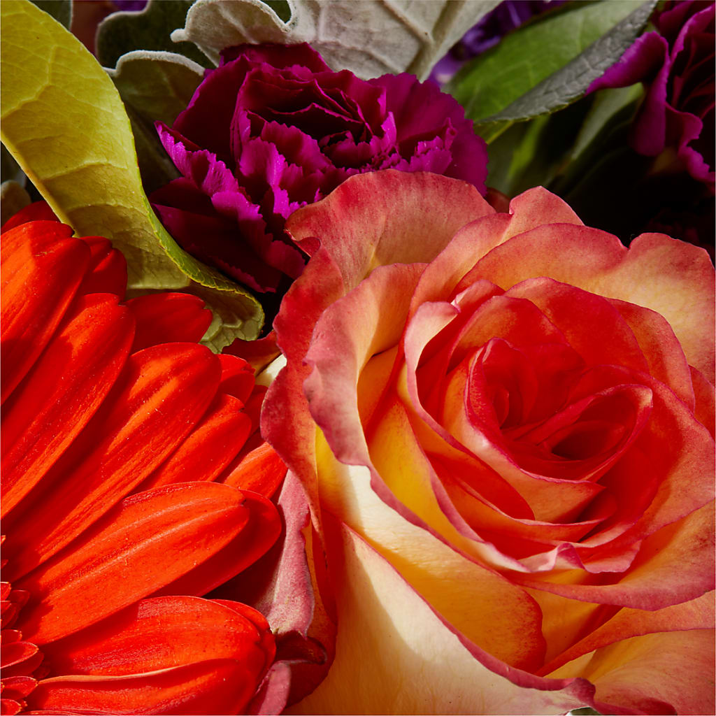 Sangria Bouquet –  Francis Florist, Pomeroy OH