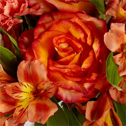 Apricot Glow Bouquet –  Francis Florist, Pomeroy OH