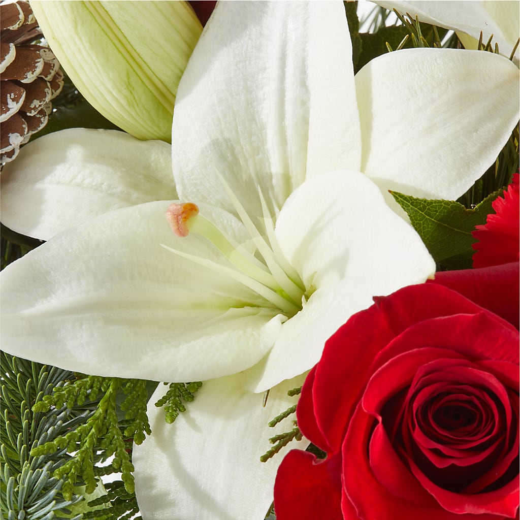 Oh So Jolly Bouquet –  Francis Florist, Pomeroy OH