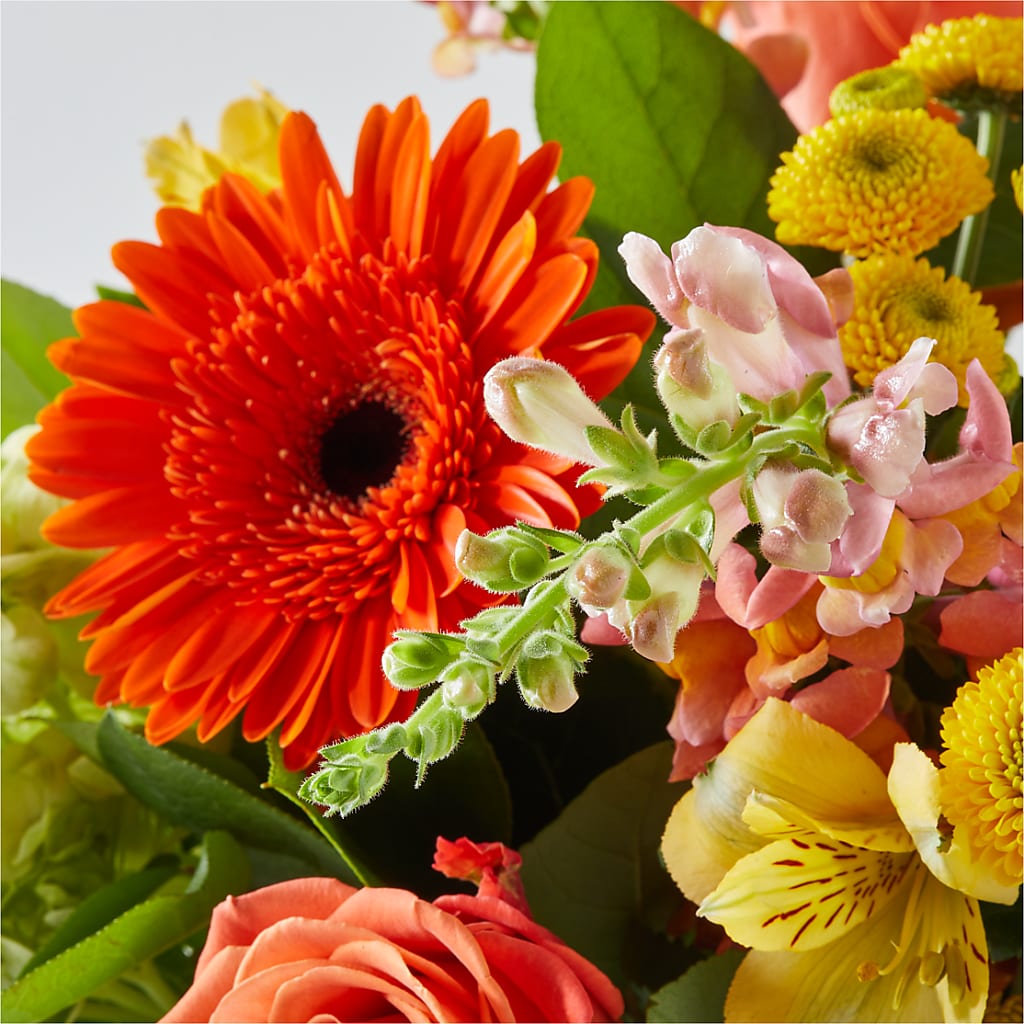 Autumn Sunshine Bouquet –  Francis Florist, Pomeroy OH