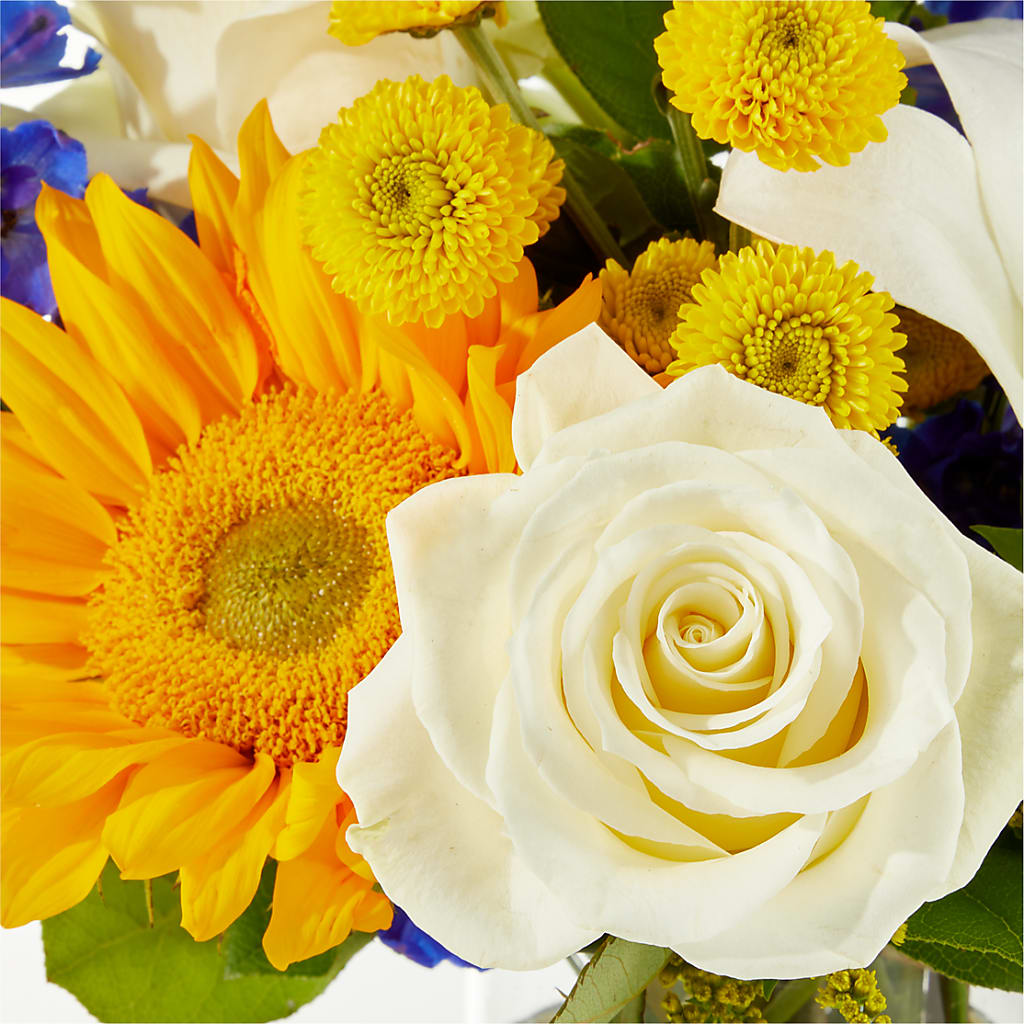 Stargazing Bouquet –  Francis Florist, Pomeroy OH
