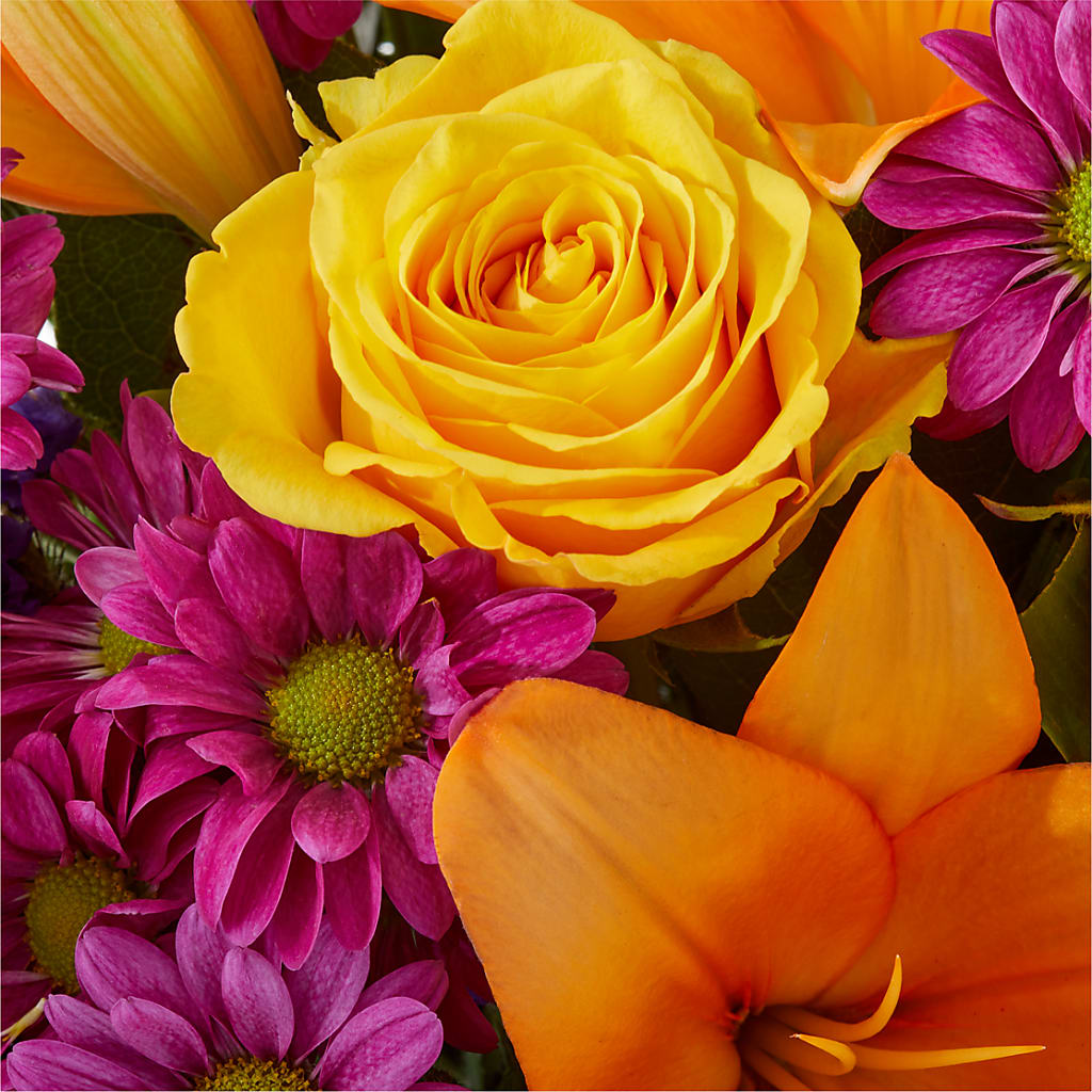 Colorful Visions Bouquet –  Francis Florist, Pomeroy OH