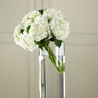 White Hydrangea Hand-Tied Bouquet –  Francis Florist, Pomeroy OH