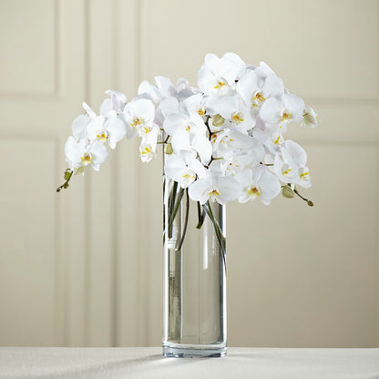 White Phalaenopsis Bouquet –  Francis Florist, Pomeroy OH